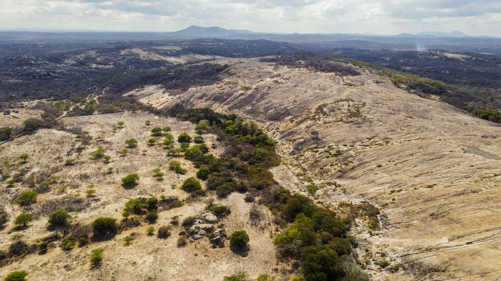 Na Fazenda Salambaia, em Boa Vista (PB), há remanescentes da Caatinga preservado