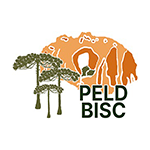 Foto do escritor: BISC