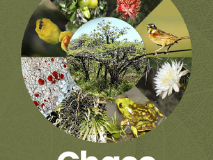Livro reúne informações sobre bioma Chaco