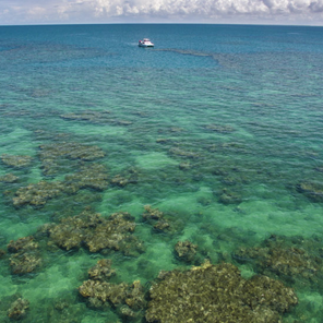 Detetives ecológicos
