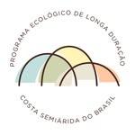 Foto do escritor: CSB