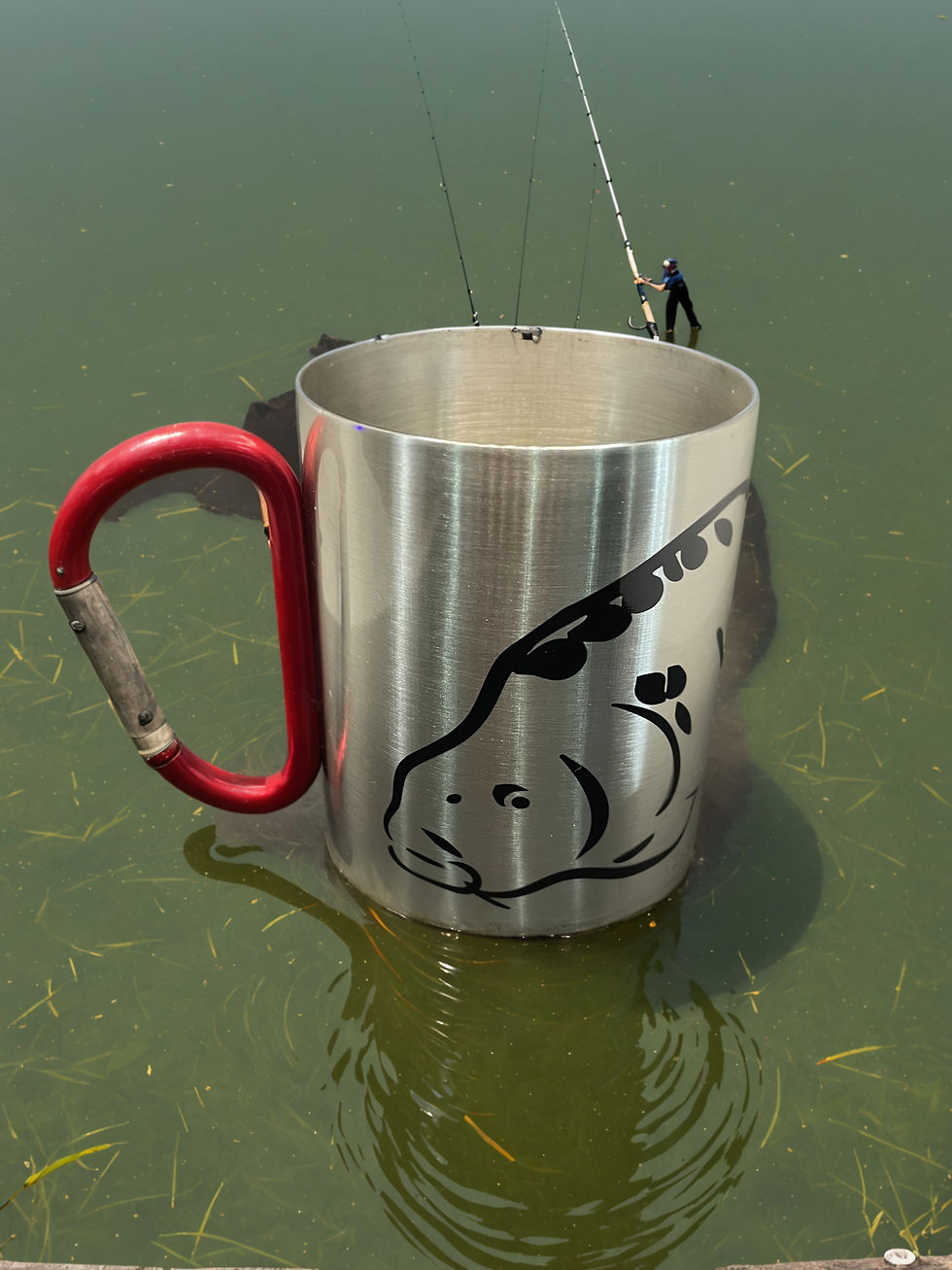 Carp Fishing WTF (where's the fish )8oz Stainless steel carabiner mug