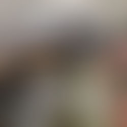 Places to Play With Animals This Summer 