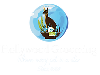 New Logo copys_edited.png
