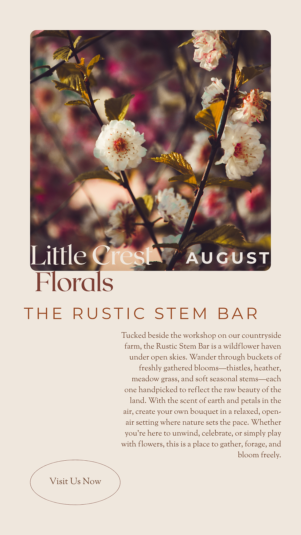 The Rustic Stem Bar: August 
