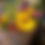 Thumbnail: Bouquet of the Week