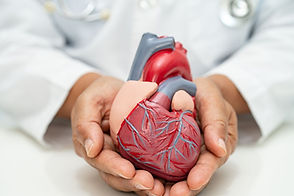 Cardiovascular