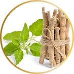 Ashwagandha.png
