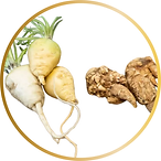 Maca.png
