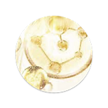 多肽-03.png