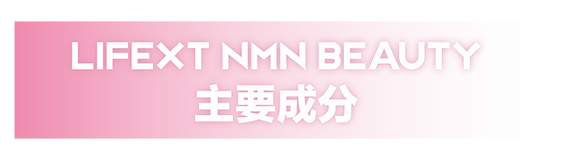 主要成分-06.png