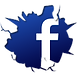 icone facebook