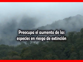 Breve opinión sobre el aumento de especies amenazadas (2017)