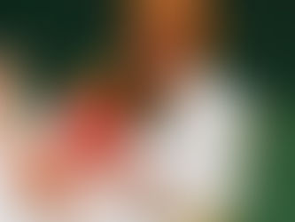 Le Sempai en aikido: pilier des règles dans les dojos