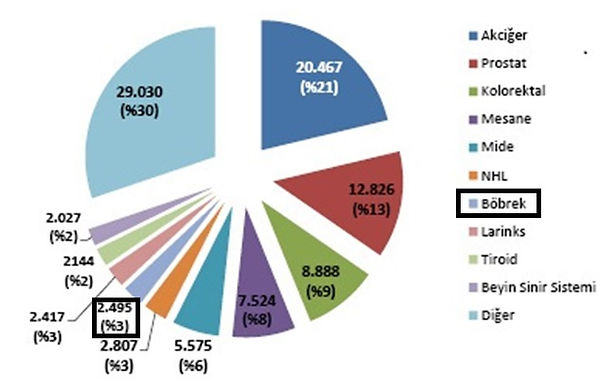 Kidney cancer frequency