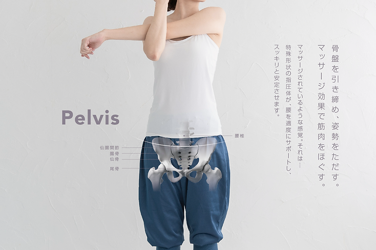骨盤用.png