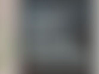 What Money Can't Buy