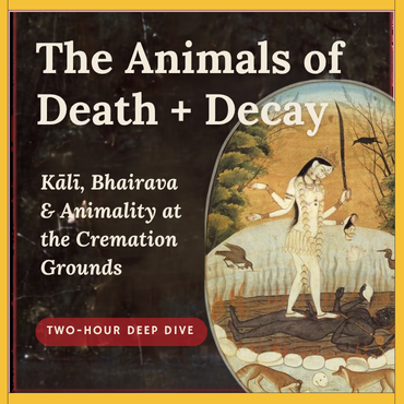 animalws.png