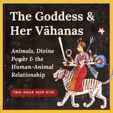 vahanawws.png