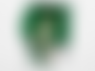 אורי דהן במכבי חיפה, חיזוק להגנה בלבד?