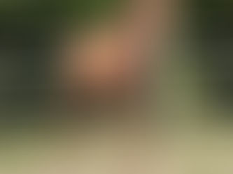 Waarom 2023 het jaar is om een veulen te kopen