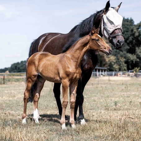 Onlangs hebben we ook de tweede winnaar van onze gratis fotoshoot Vamos Amor
