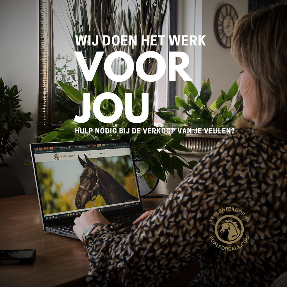 Wij doen het werk voor jou. Hulp nodig bij de verkoop van je veulen?