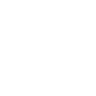 Icon Insurance
