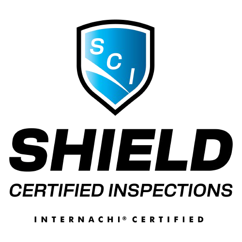 Business Logo transparent