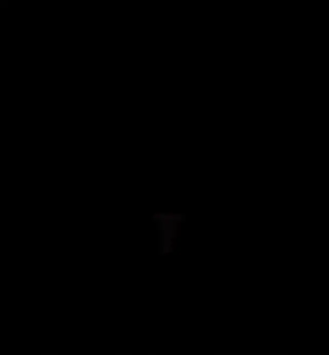マンゴー