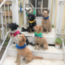 Group Shot.jpeg