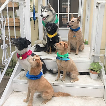 Group Shot.jpeg