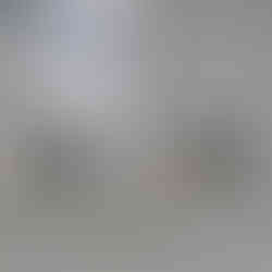 Van Zanten and Cox sailing