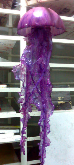 Jellyfish