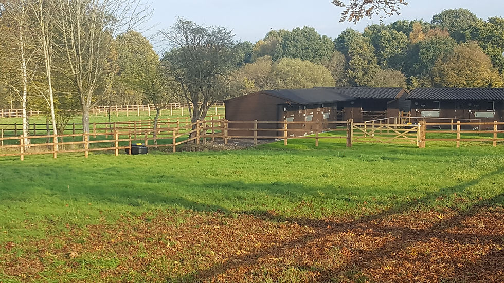 The stables @ Bullens Hill