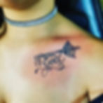 22580150_1568141186600091_55621551041418