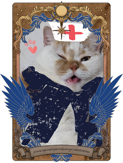 卯咪
