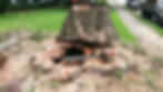 Hidden decay inside a tree