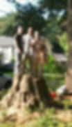 Stump removal - Jackson St., Alex.