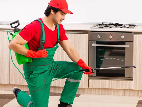 pest control company in Calgary