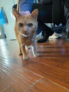 image3.jpeg