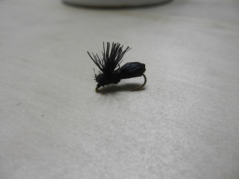 Thumbnail: Luke's Kooky Flying Ants 4-Pack