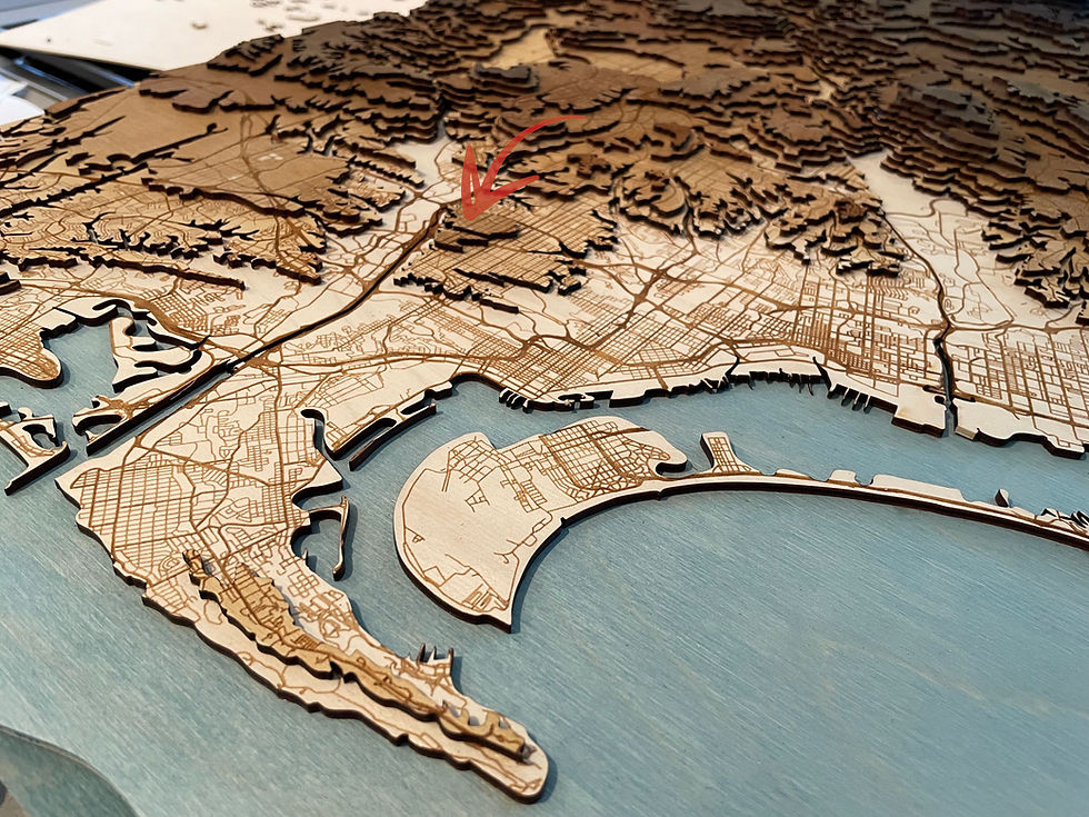 closeup map red arrow.jpg