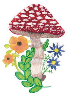 Mushroom & Floral