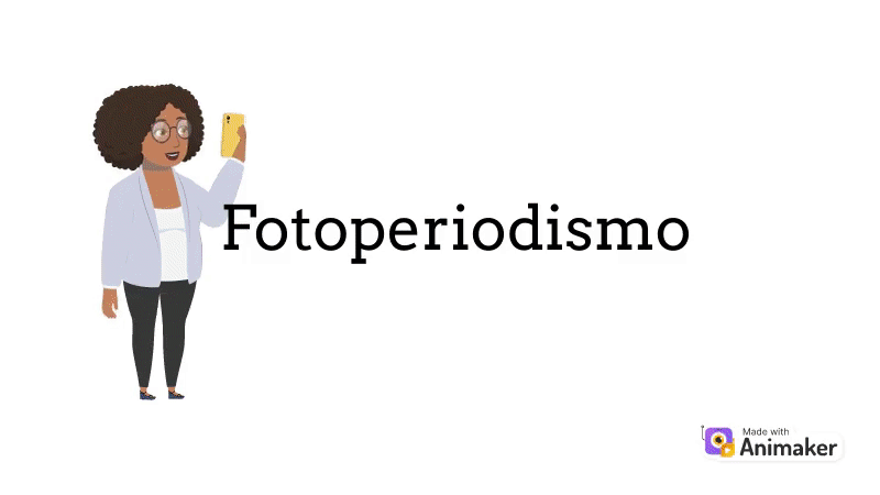 T3OY0Q68GLEHC12S.gif