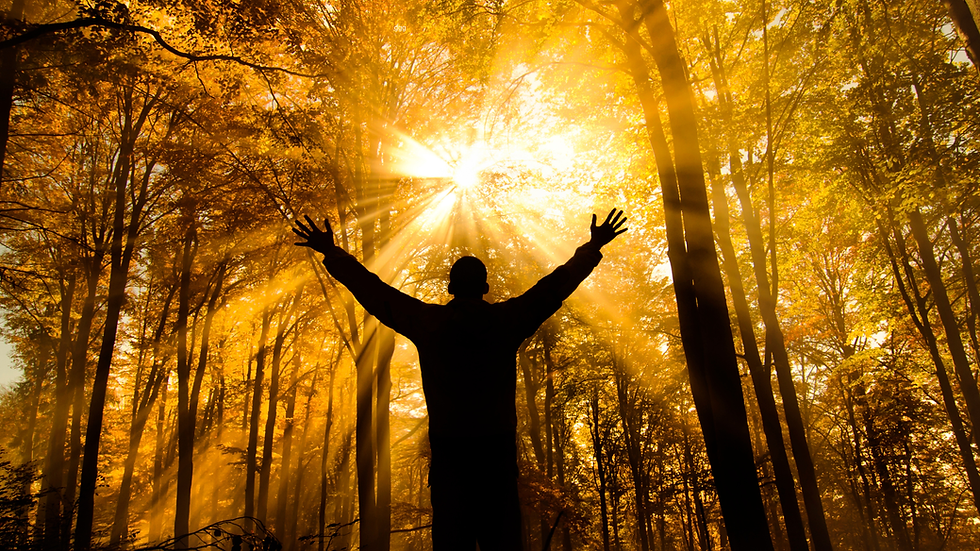 2026 Wellness Trends: What Guests Actually Want This Year