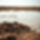 brown silt waste.jpg