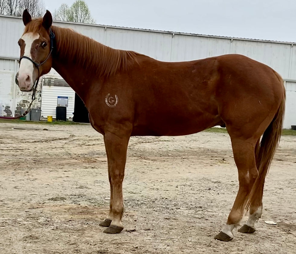 Thumbnail: #829 Bugs