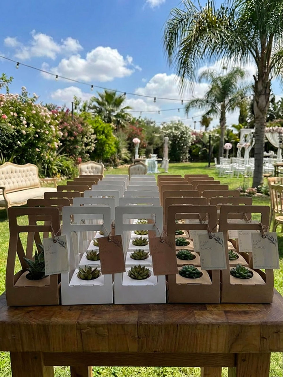 תמונה ממוזערת: 50 מארזי שתיל עם הדפס אישי