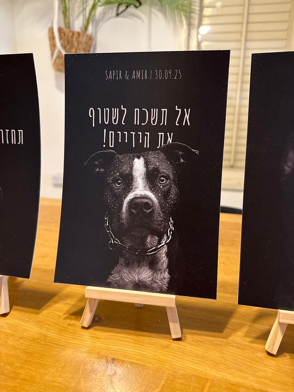תמונה ממוזערת: סט 6 שלטי שירותים בעיצוב אישי עם הכלבים שלכם + מעמדי עץ